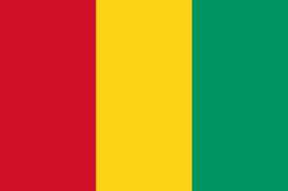 Guinea Identity Asset