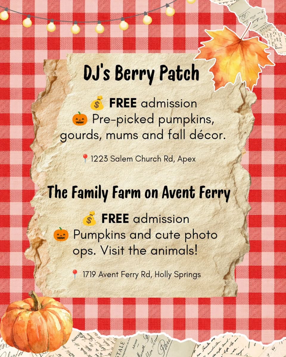DJ's Berry Patch Fall Decor & Pumpkin Spot Graphic