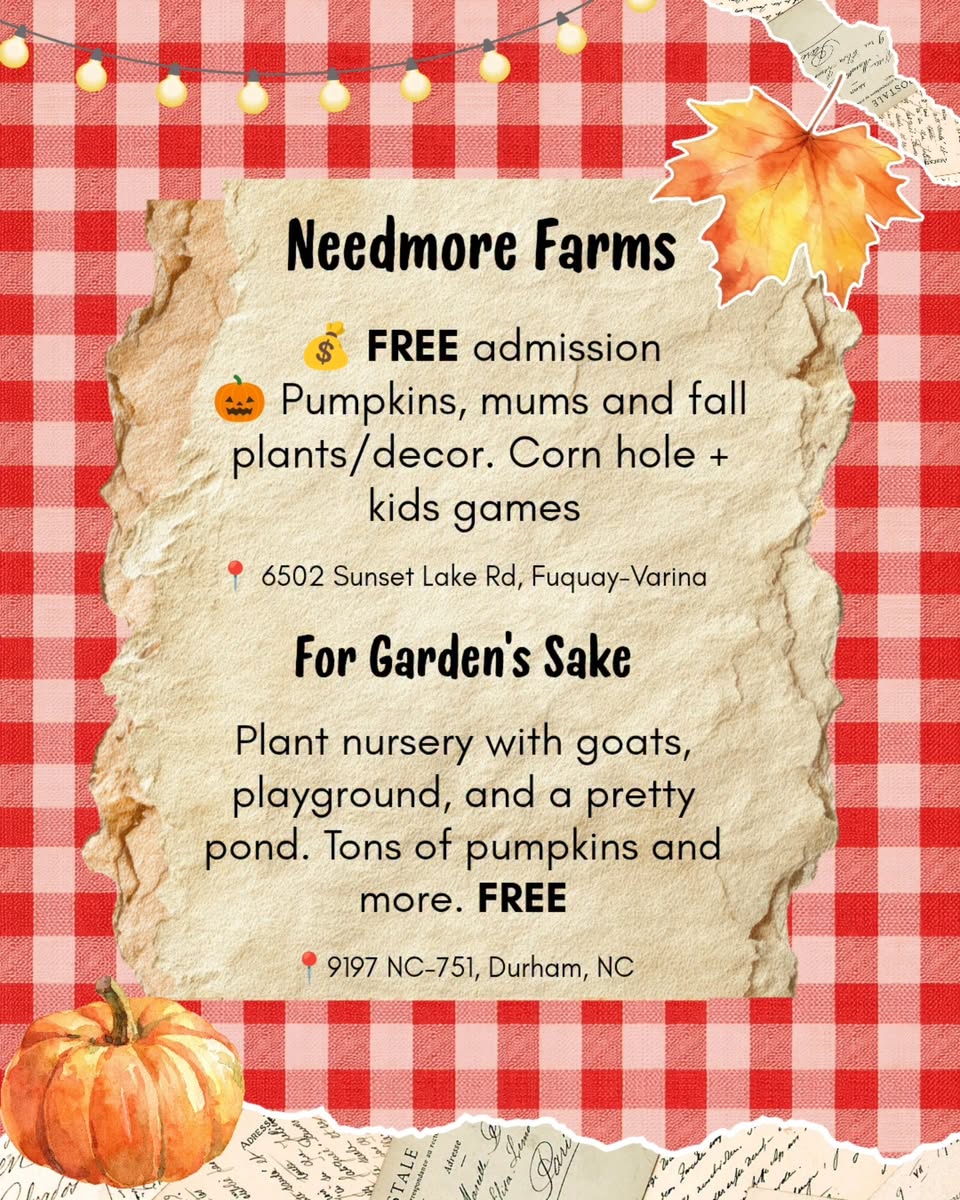 Needmore Farms Pumpkin Patch & Fall Fun Graphic