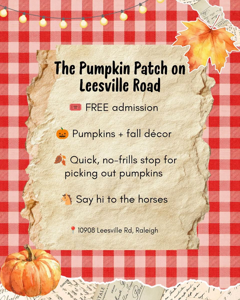 The Pumpkin Patch on Leesville Road Graphic